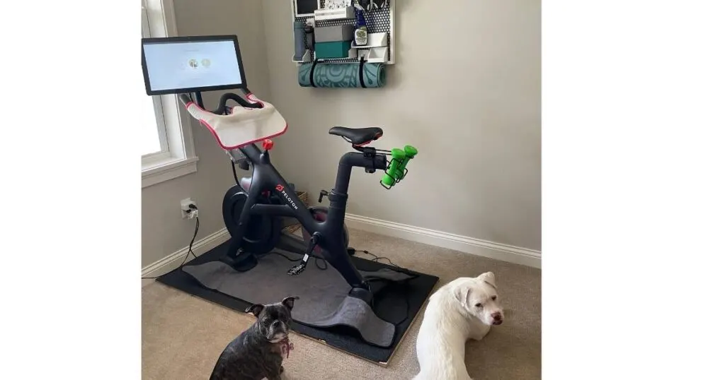 dogs next to peloton