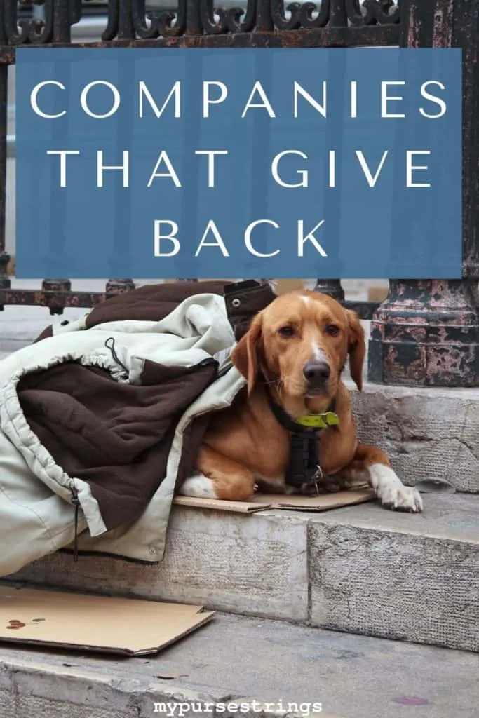 homeless dog sitting on steps companies that give back to the community