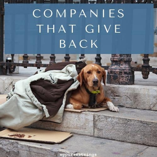 Amazing Companies that Give Back to the Community