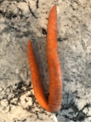 weirdly shaped carrot and potato