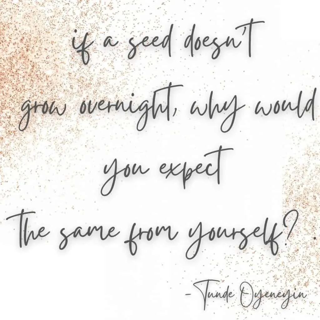 tunde oyeneyin seed quote