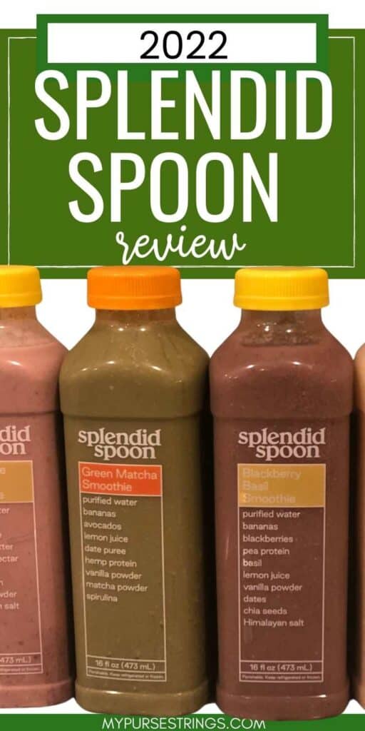 2022 splendid spoon review smoothies lined up