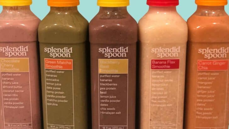 splendid spoon smoothie bottles in a row