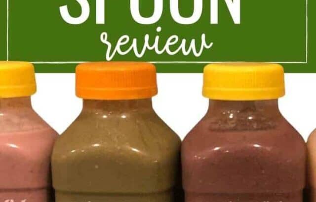 2022 splendid spoon review smoothies lined up