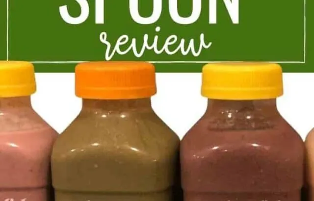 2022 splendid spoon review smoothies lined up