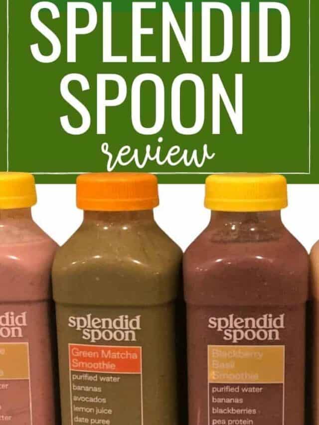 Splendid Spoon Review