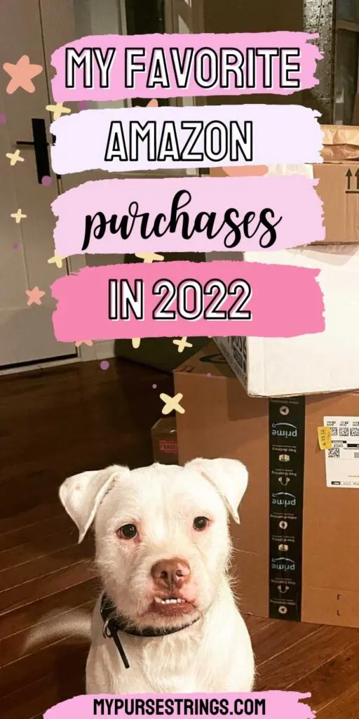 dog with amazon boxes favorite purchases 2022