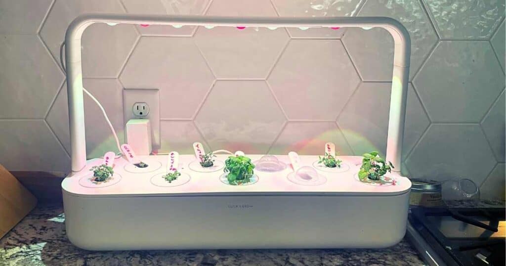 Click and Grow garden in kitchen