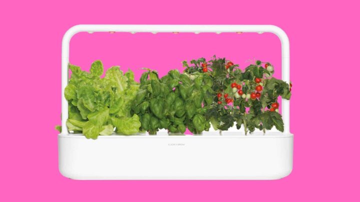Click and Grow Indoor Smart Garden Review