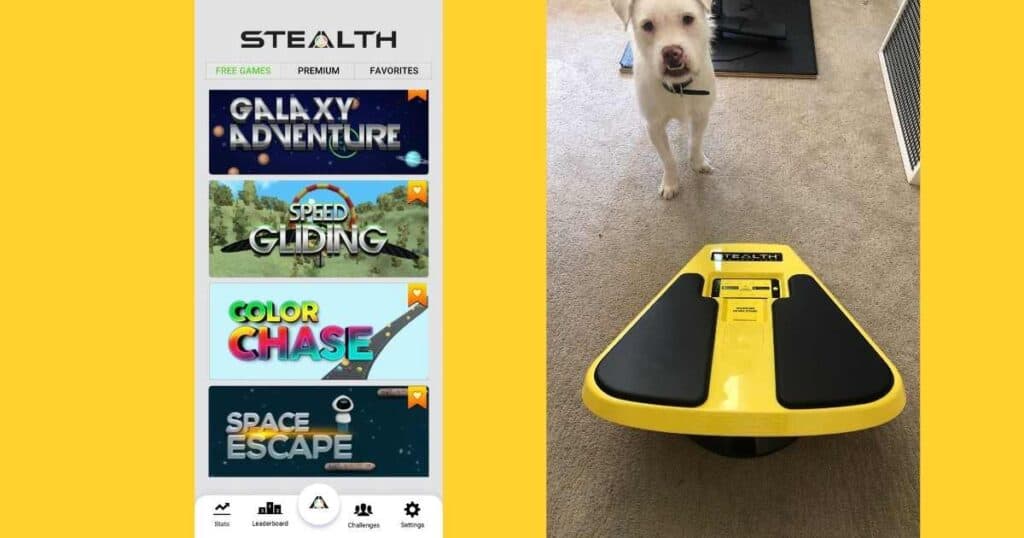 dog in front of stealth core trainer