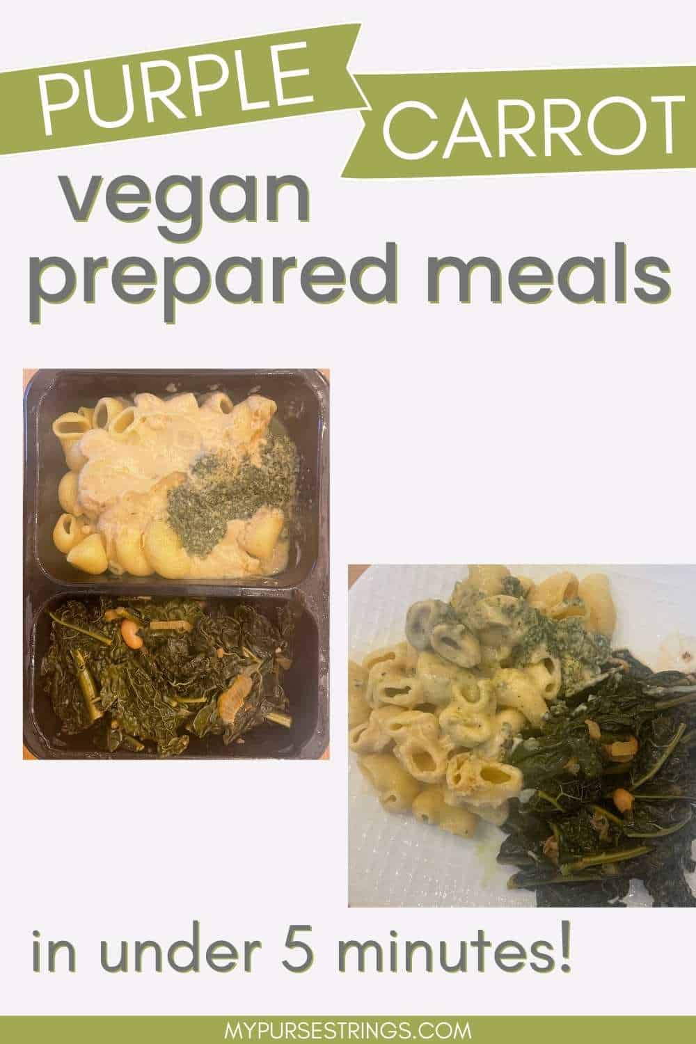 Purple Carrot Prepared Meals Review - MyPurseStrings.com
