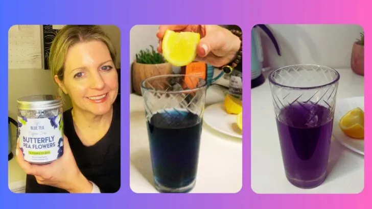 woman holding butterfly pea canister next to blue tea and purple tea in glass