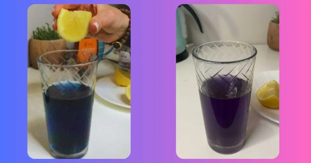 blue butterfly pea flower tea in a glass next to purple tea