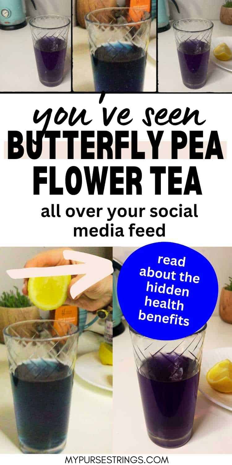 Butterfly Pea Flower Tea Magical and Healthy