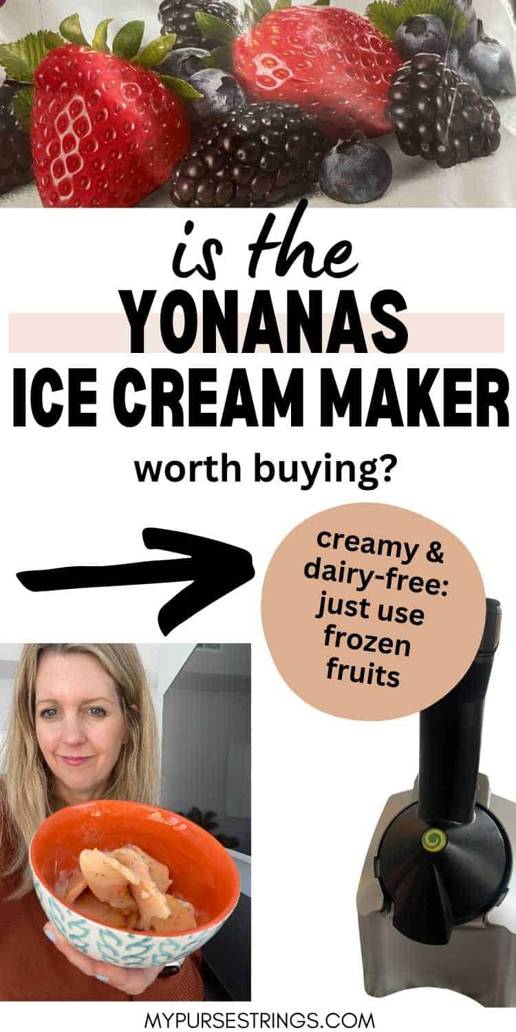 Is Yonanas Frozen Healthy Dessert as Good as Ice Cream