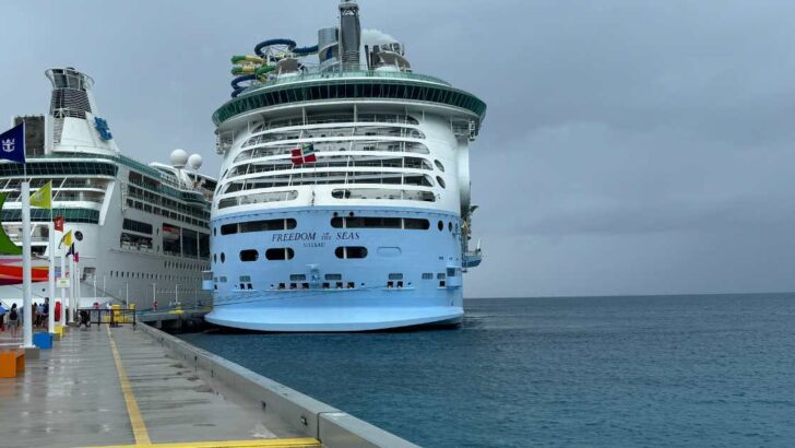 freedom of the seas ship on ocean at port