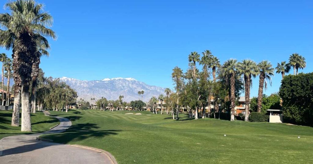 Palm trees surrounding a golf course with snow covered mountains in Palm Springs California.